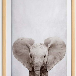 Nástěnný obraz v rámu Surdic Elephant