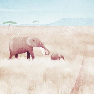 Plakát 30x40 cm Elephants - Travelposter. Nejlepší vtipy na světě na každý den.