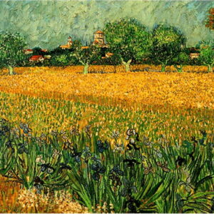 Reprodukce obrazu Vincenta van Gogha - View of arles with irises in the foreground